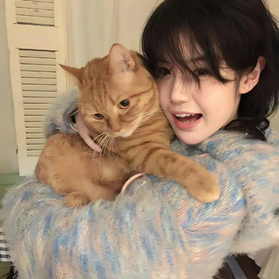 特洛伊:木马屠城记